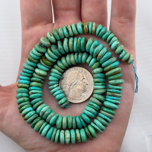 Graduated Saucer Strand
