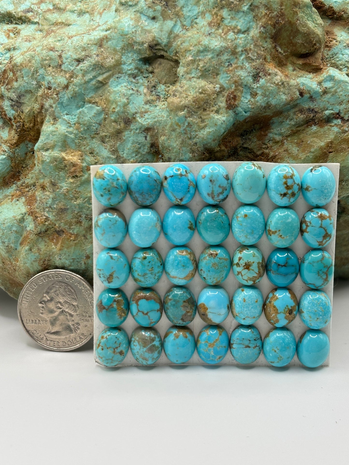 9x11 Oval calibrated cabs