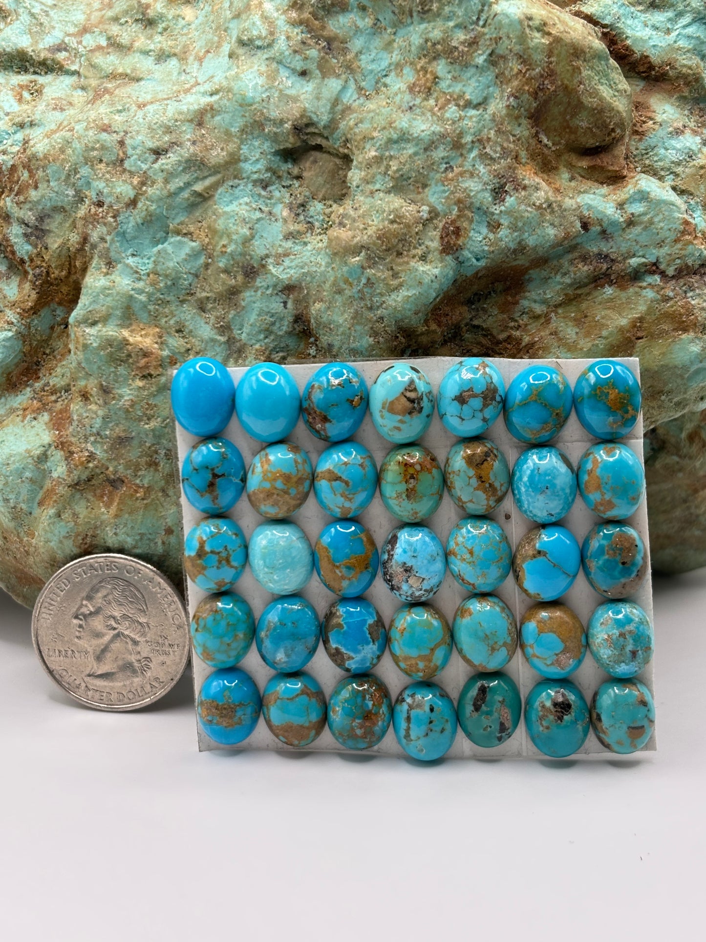 9x11 Oval calibrated Cabs