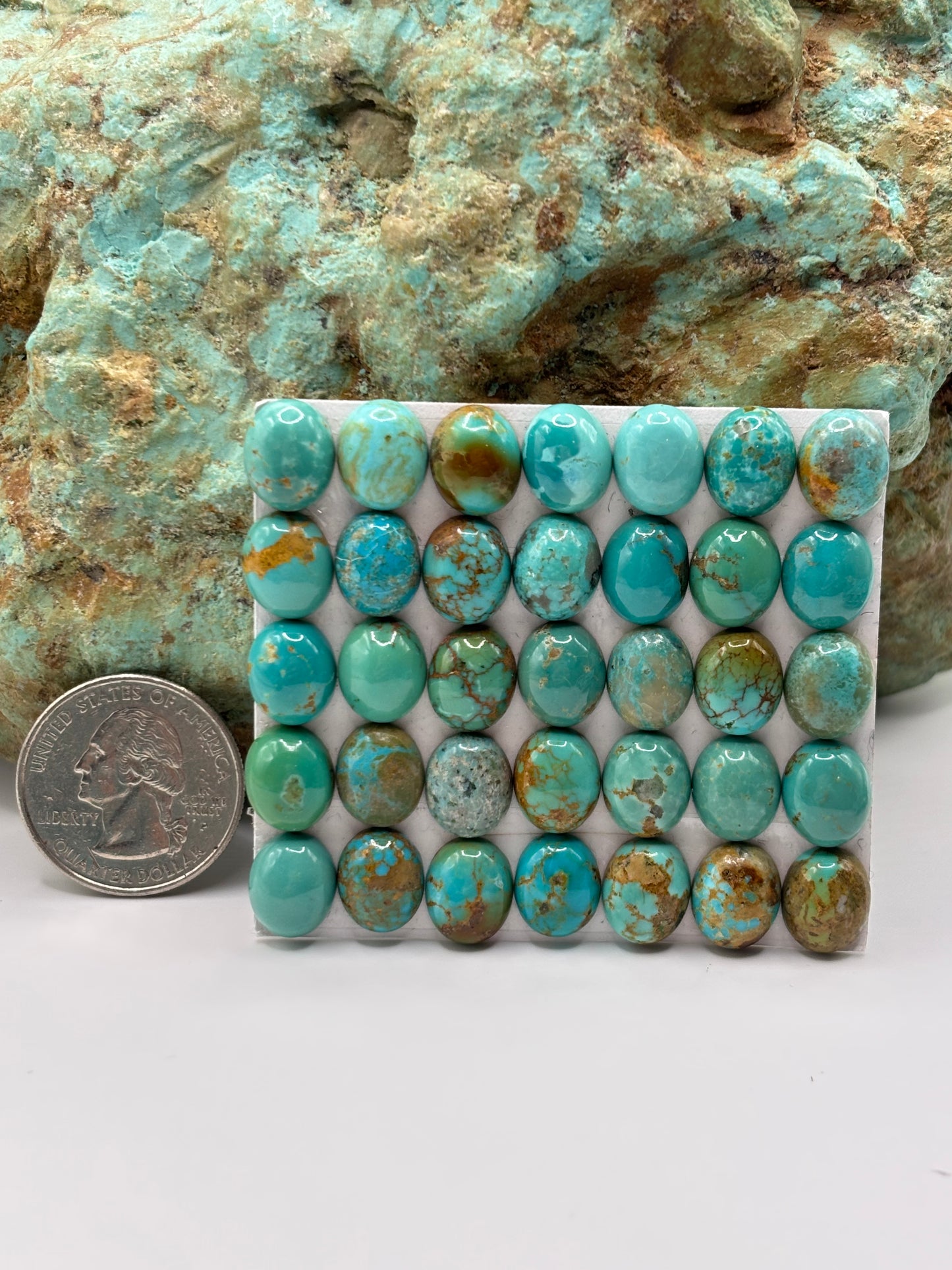 9x11 Oval Calibrated Cabs