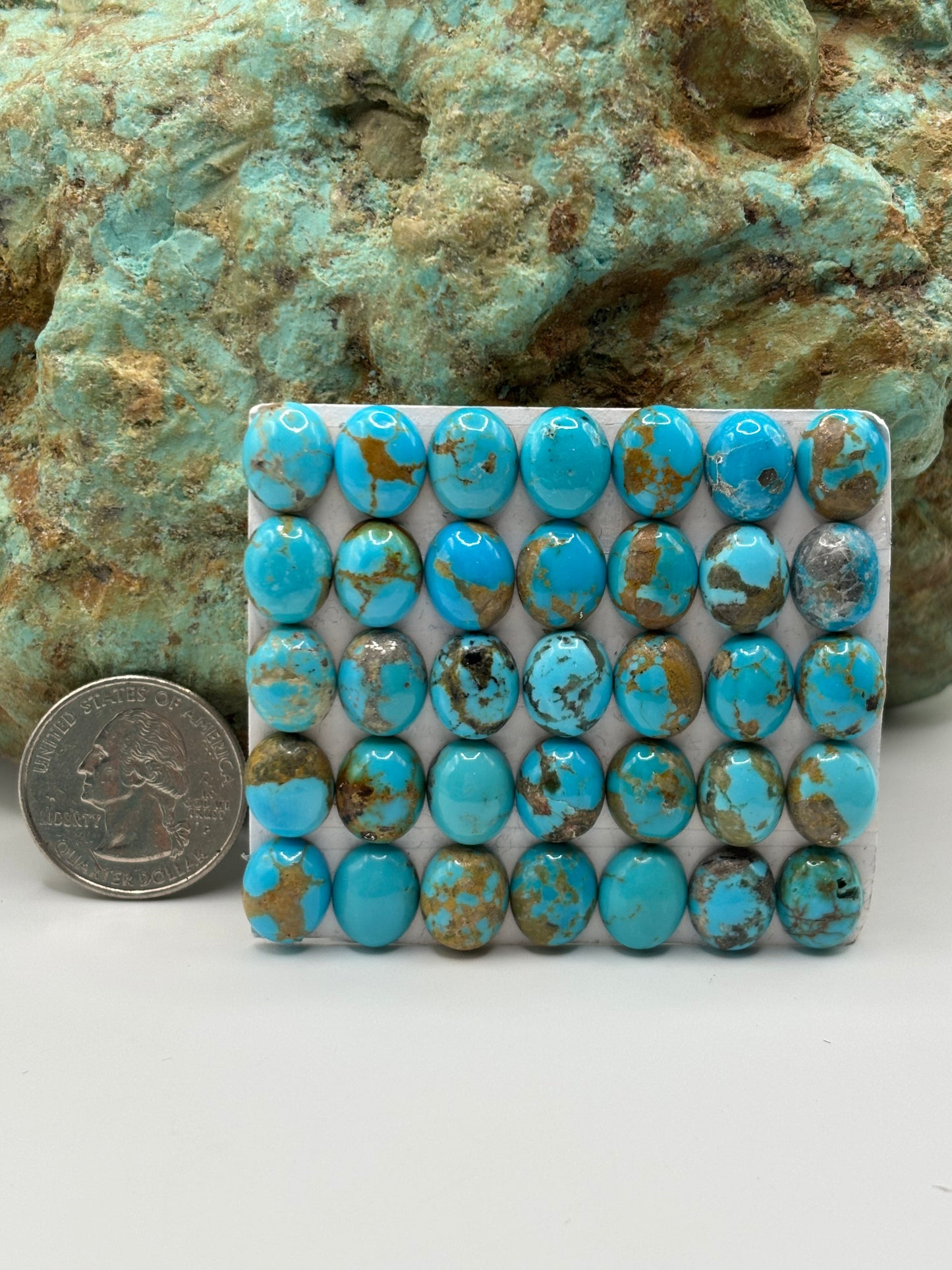 9x11 Oval Calibrated Cabs
