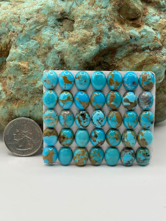 9x11 Oval Calibrated Cabs