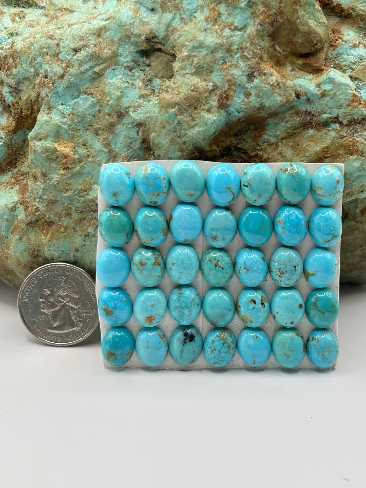 9x11 Oval Calibrated Cabs