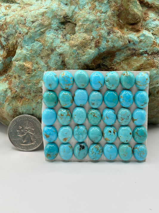 9x11 Oval Calibrated Cabs