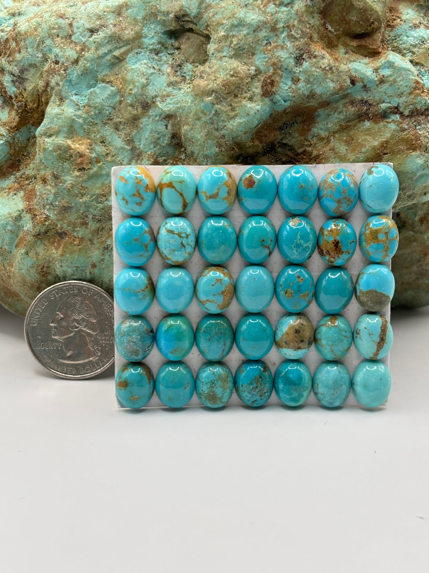 9x11 Oval Calibrated Cabs