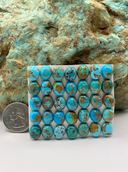 9x11 Oval calibrated Cabs