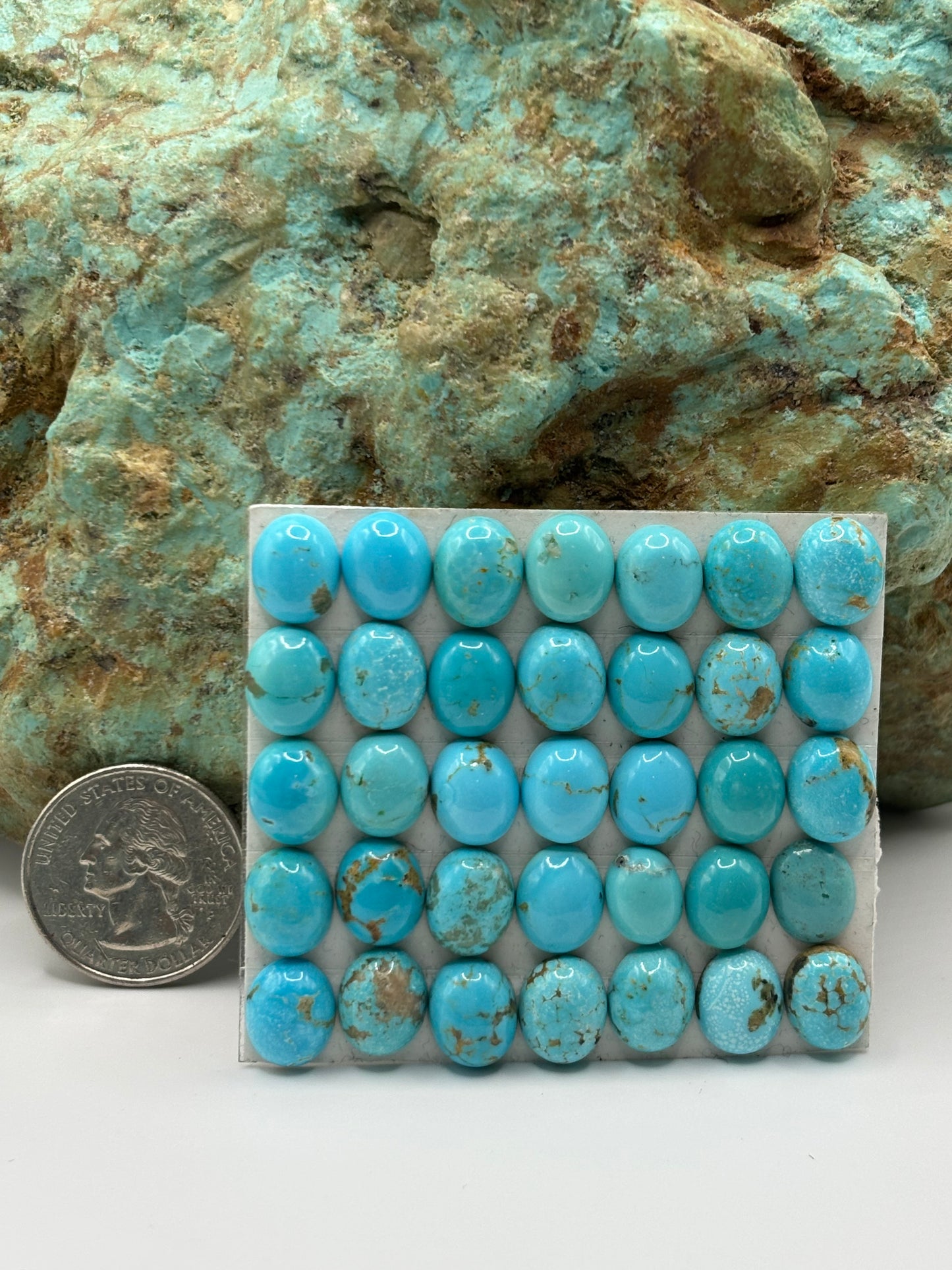 9x11 Oval Calibrated Cabs