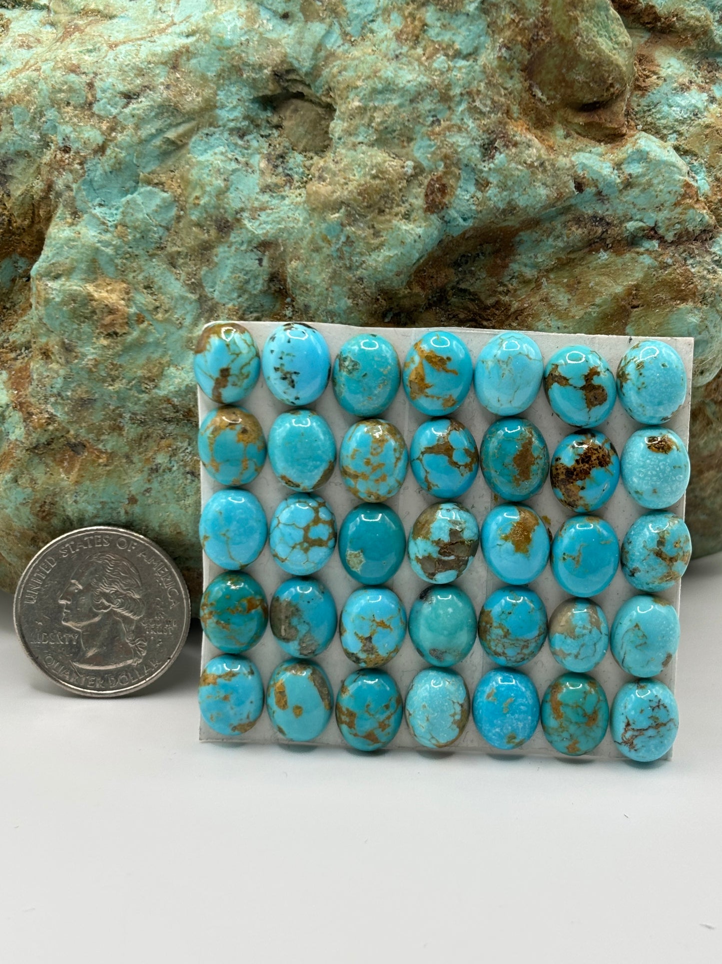 9x11 Oval calibrated Cabs