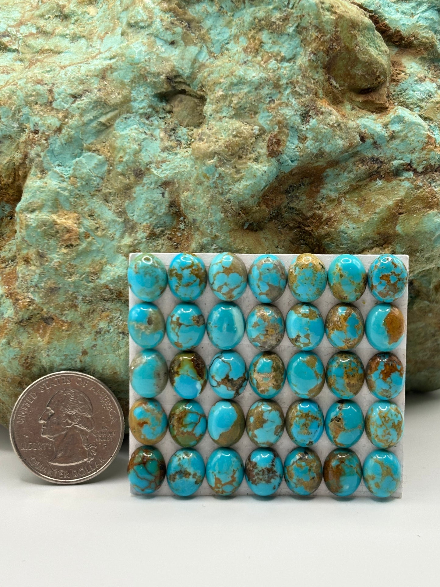 8x10 Oval Calibrated Cabs