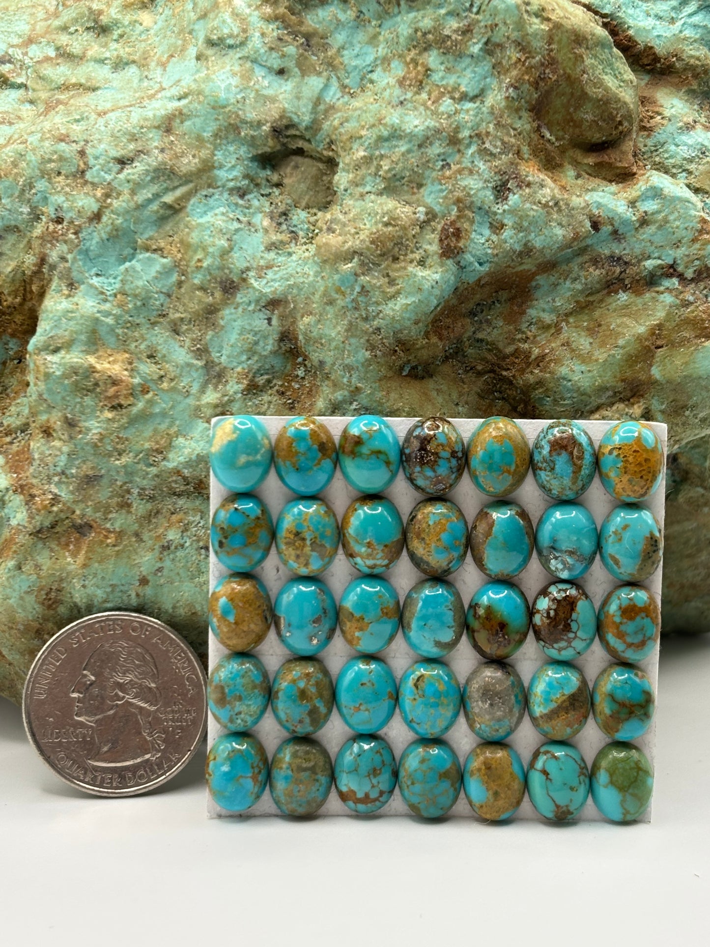 8x10 Oval Calibrated Cabs