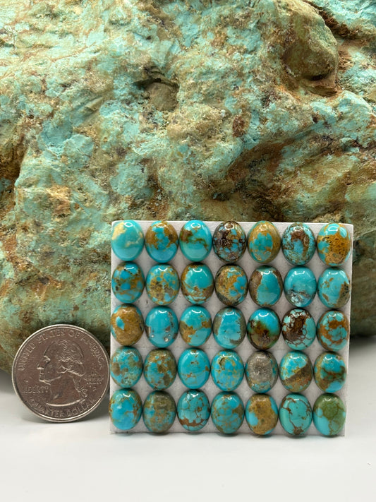 8x10 Oval Calibrated Cabs