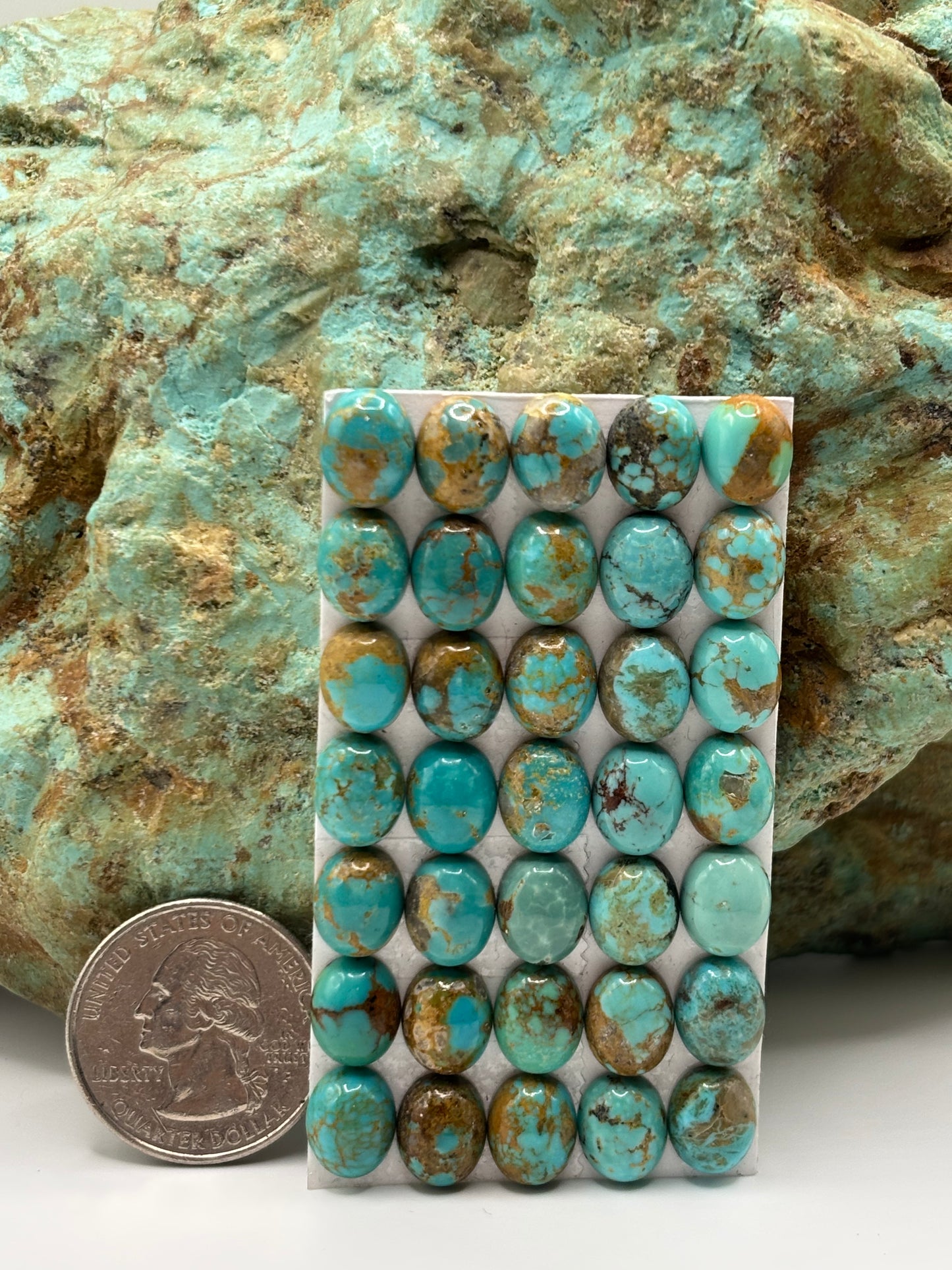 8x10 Oval Calibrated Cabs