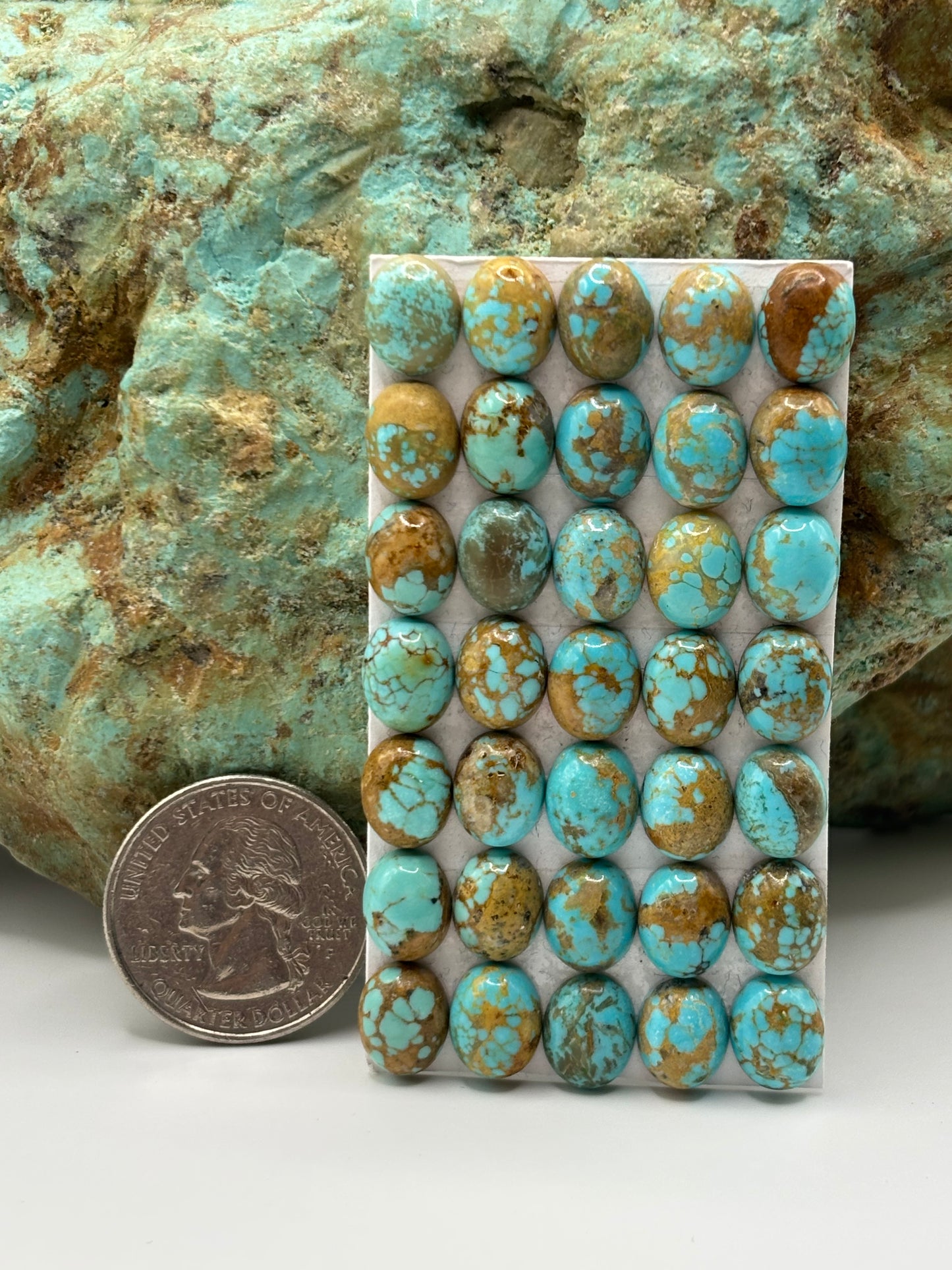 8x10 Oval Calibrated Cabs