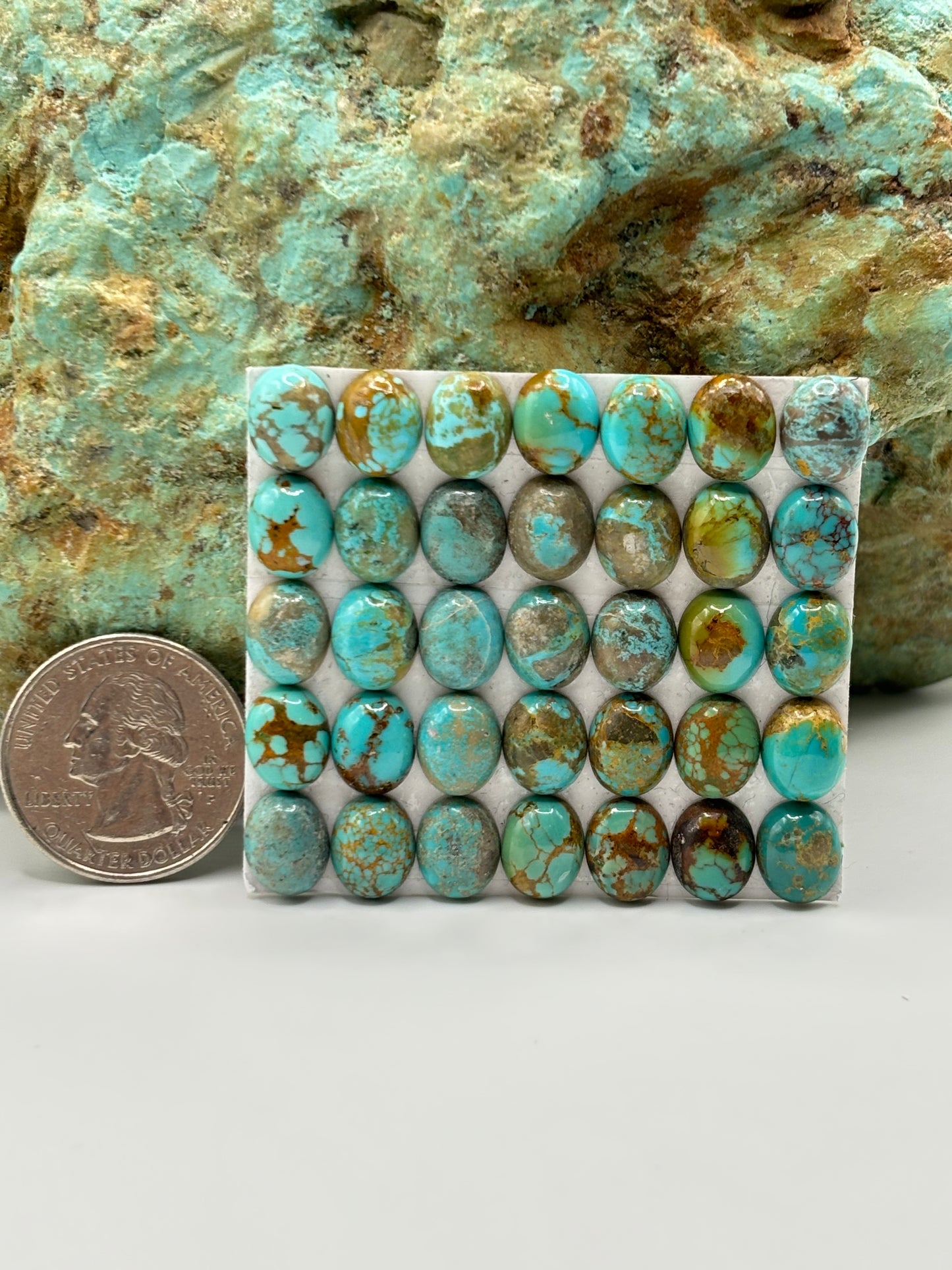 8x10 Oval calibrated Cabs