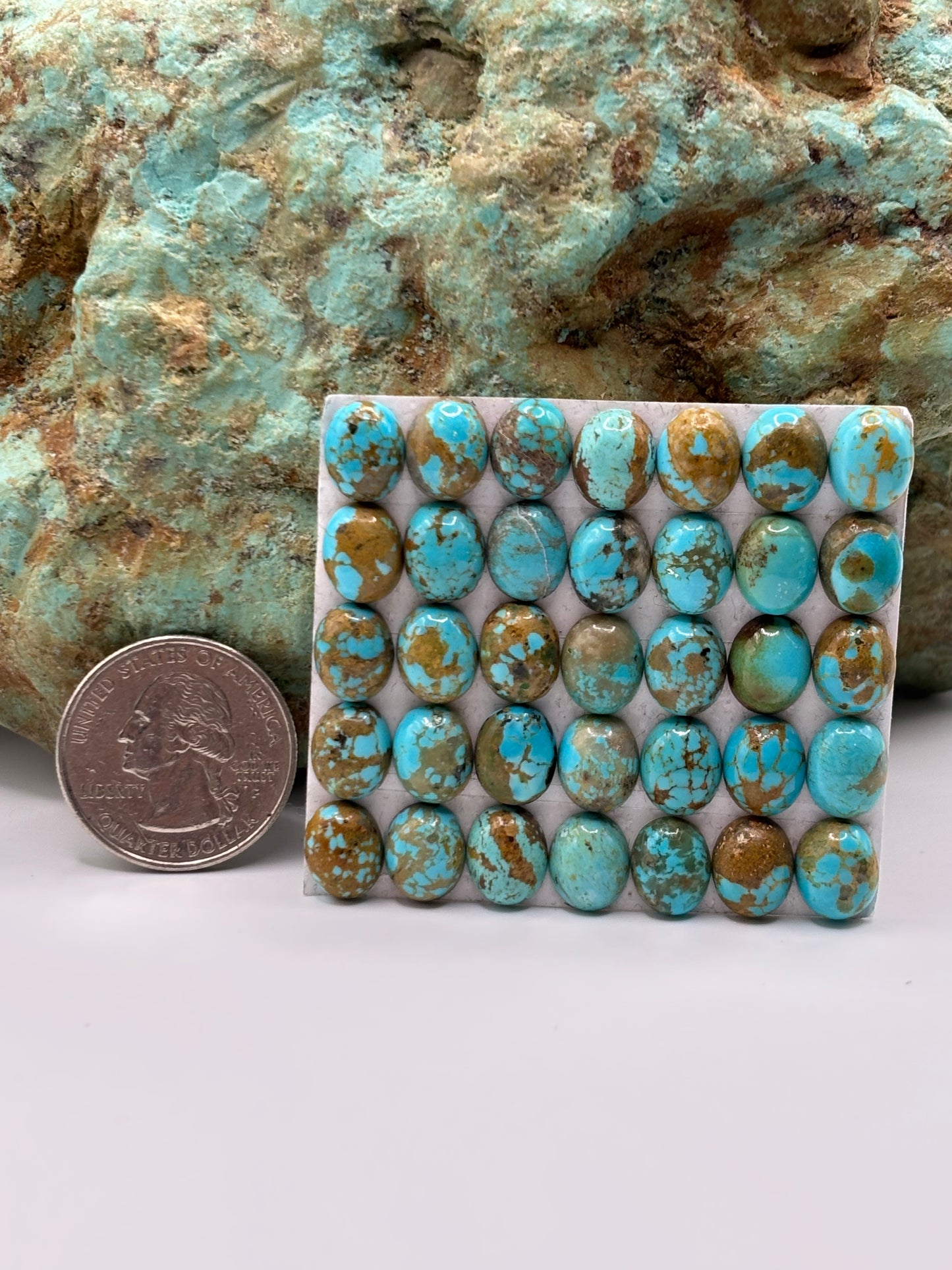 8x10 Oval Calibrated Cabs