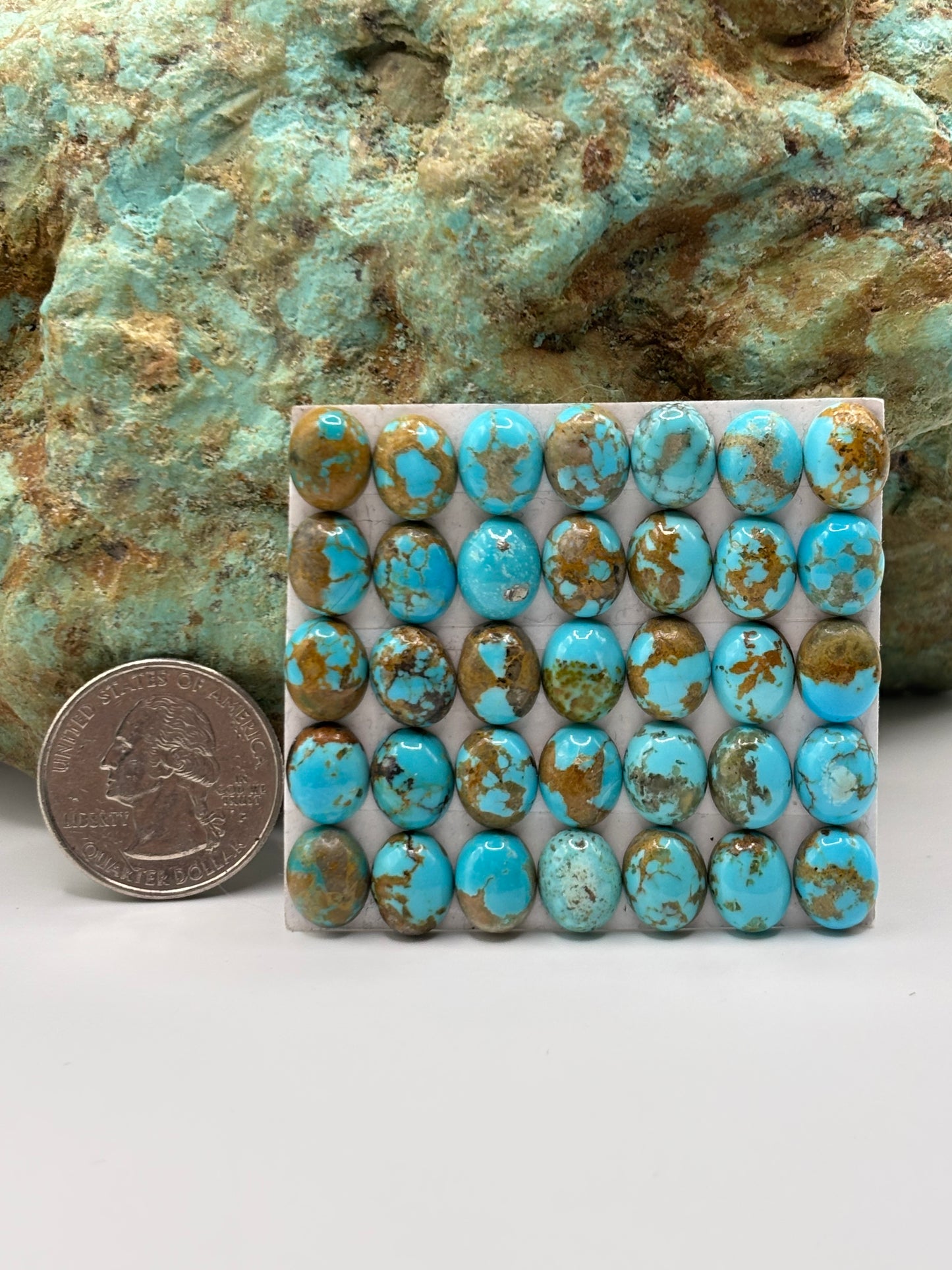 8x10 Oval Calibrated Cabs