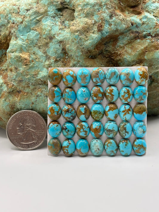 8x10 Oval Calibrated Cabs