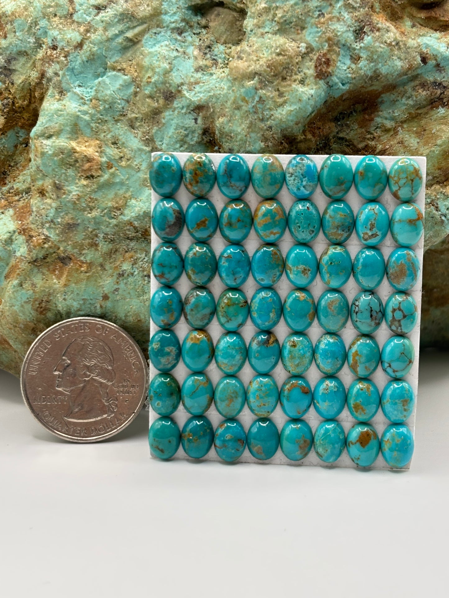 6x8 Oval Calibrated Cabs