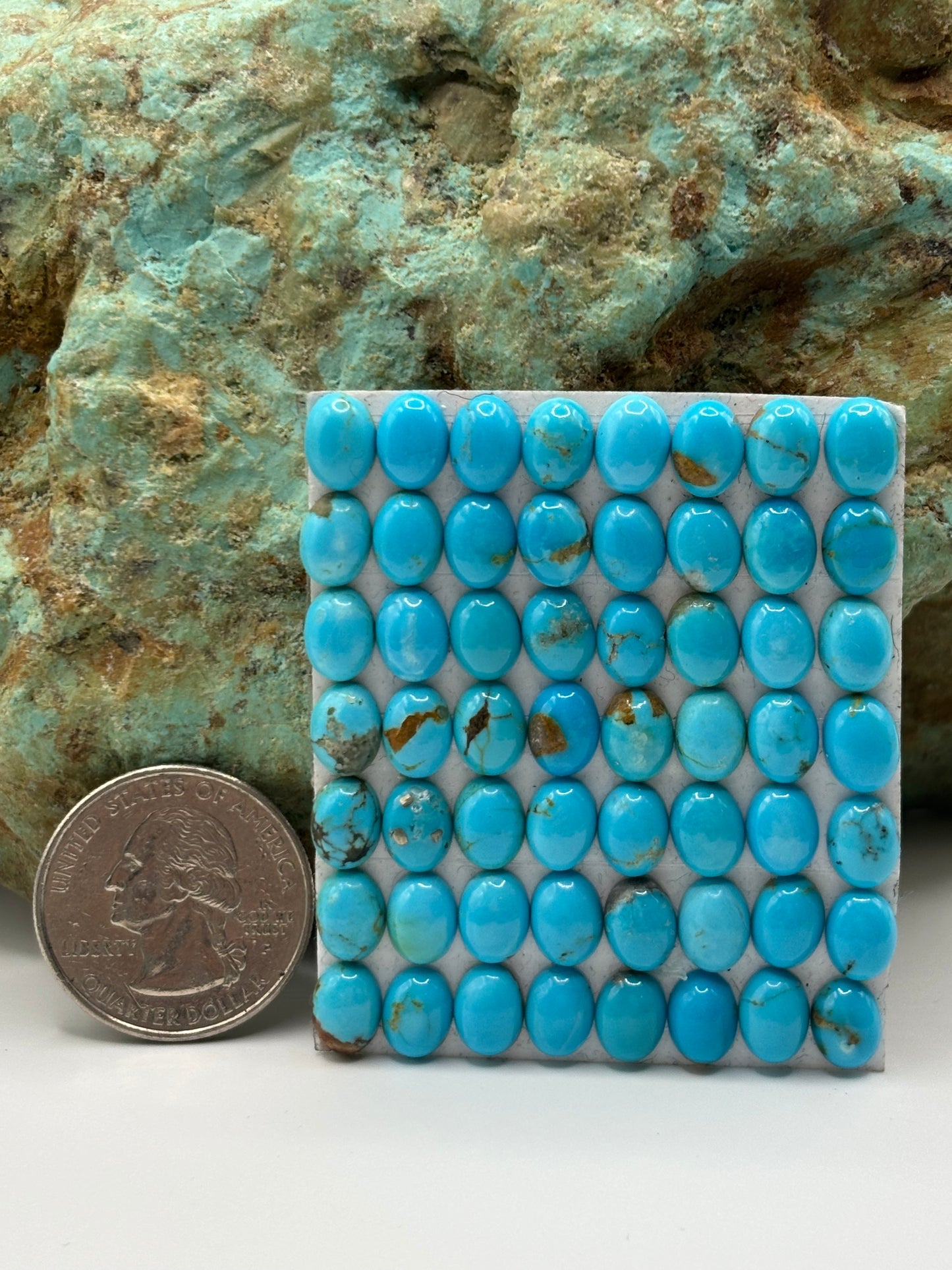 6x8 Oval Calibrated Cabs