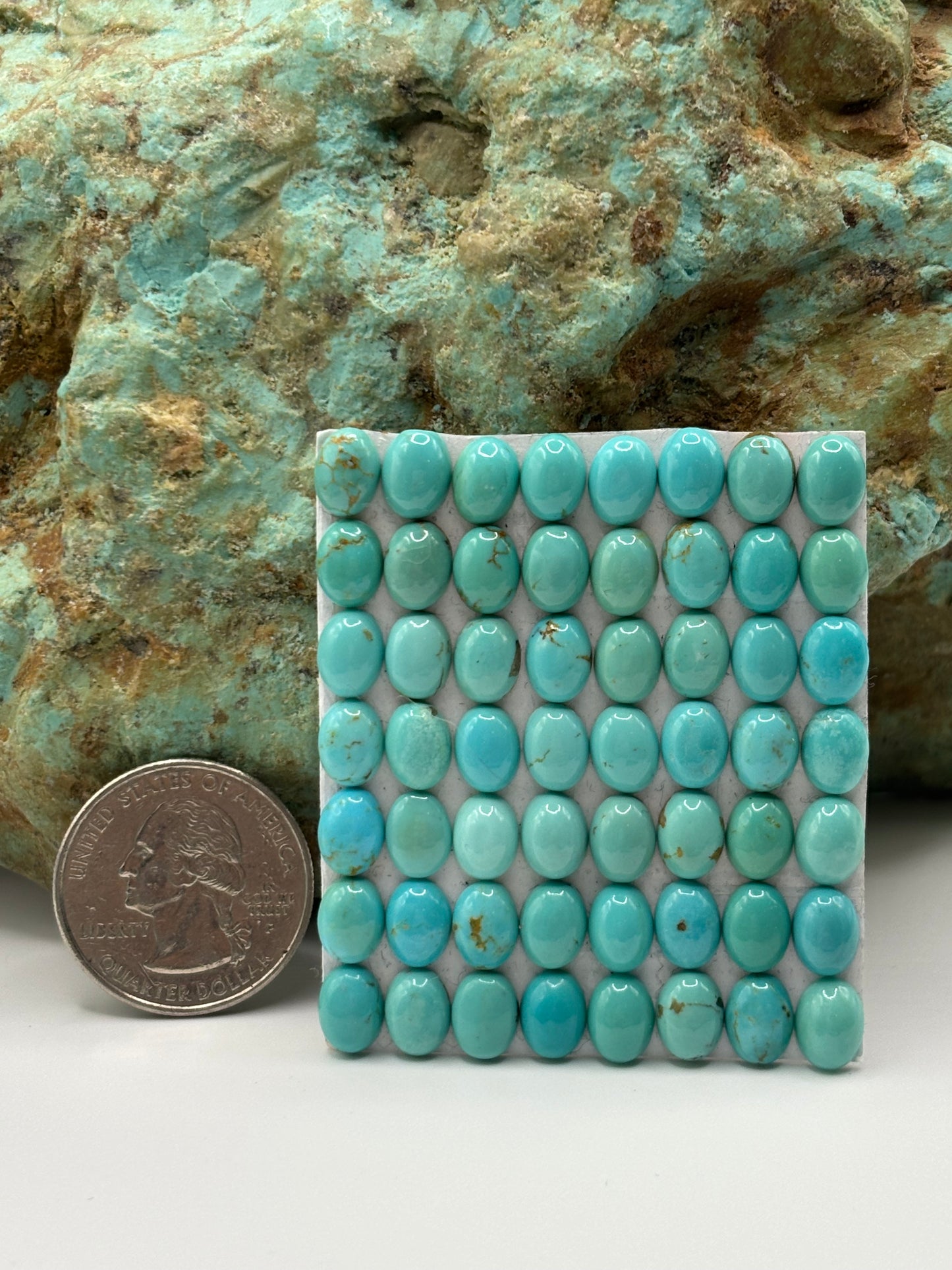 6x8 Oval Calibrated Cabs