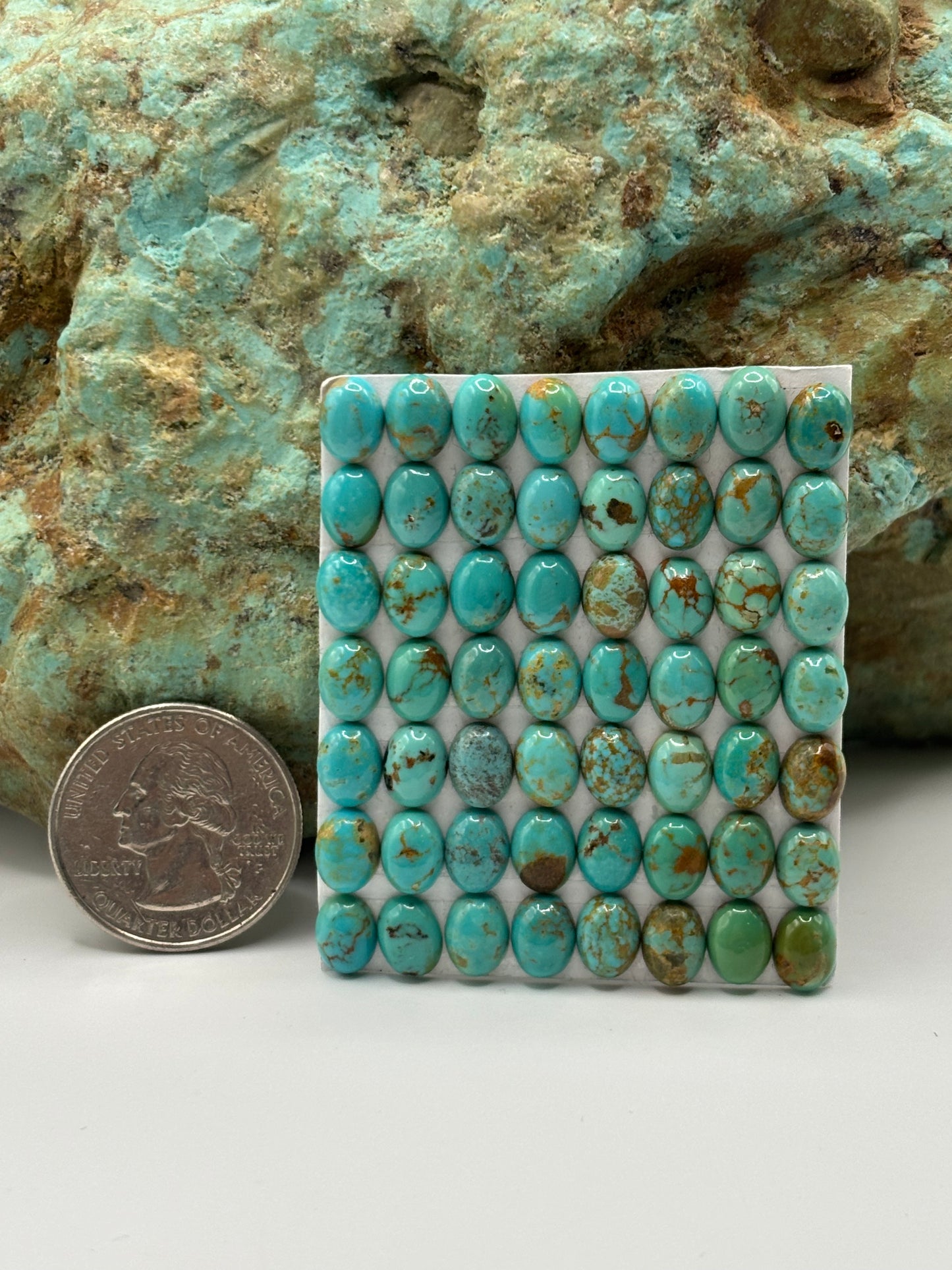 6x8 Oval Calibrated Cabs