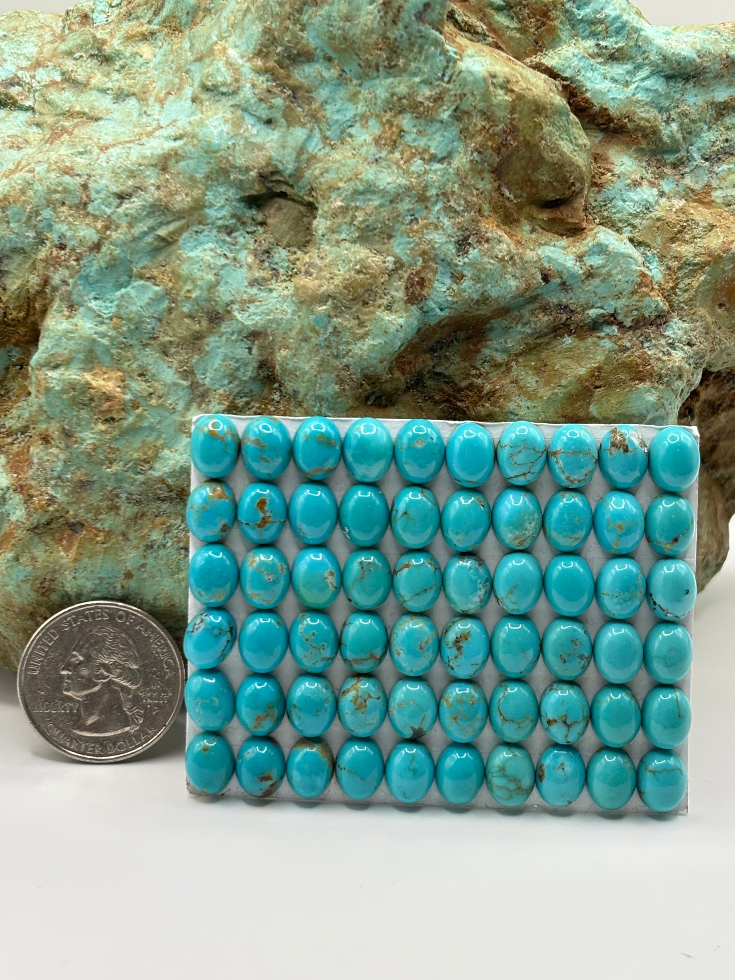 7x9 Oval Calibrated Cabs