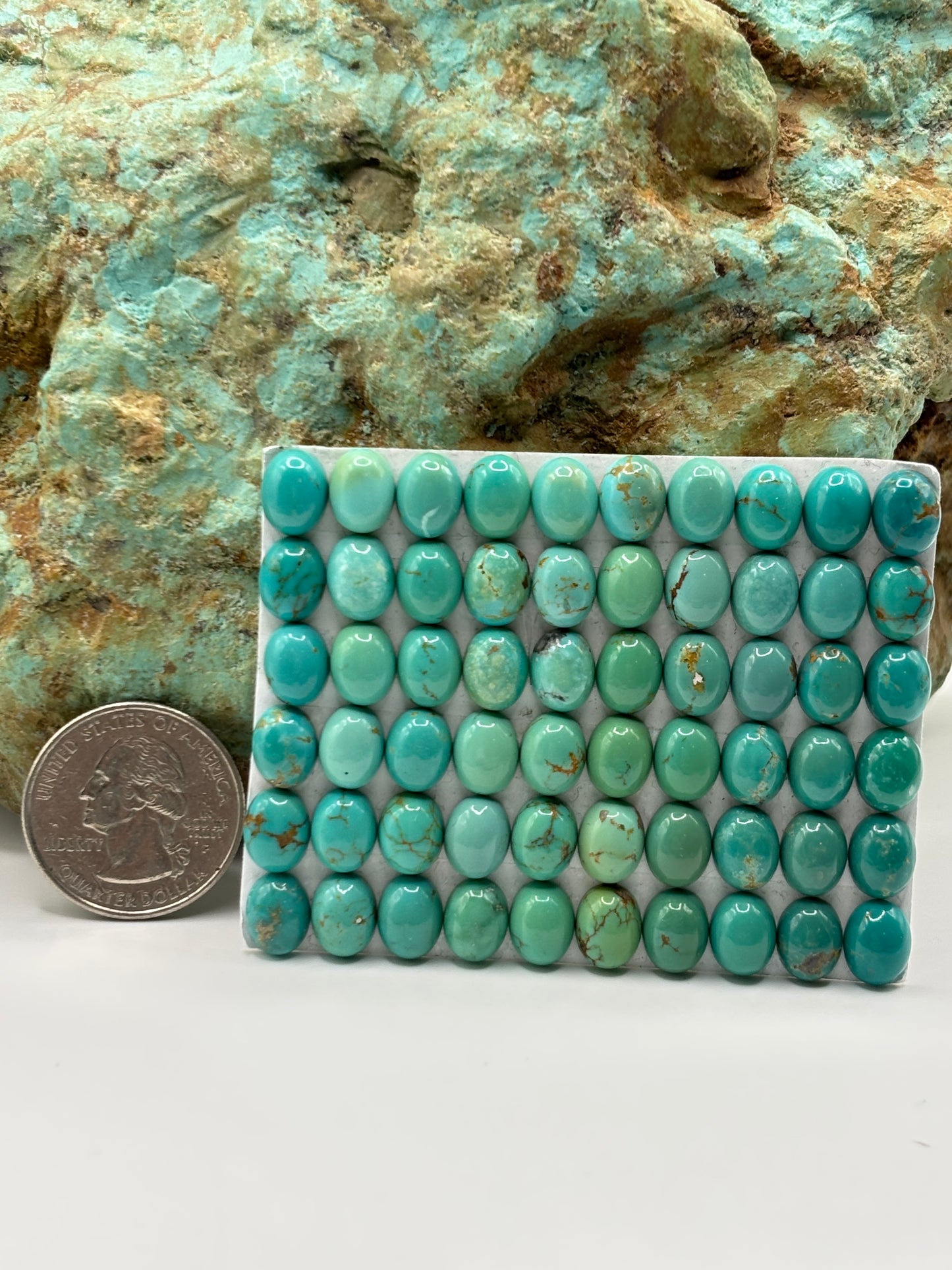 7x9 Oval Calibrated Cabs