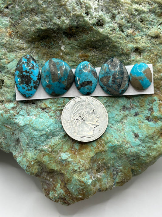 Freeform Cabochons 489