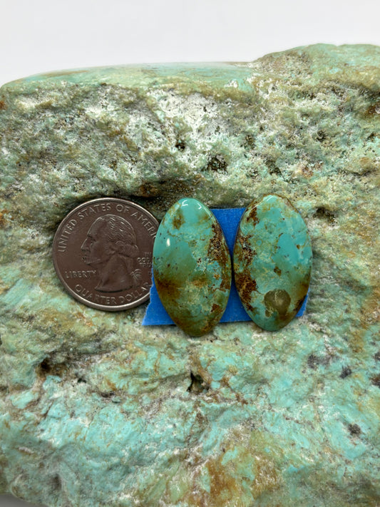 Matching Cabs (69)