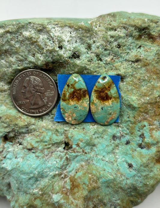 Matching Cabs (20)