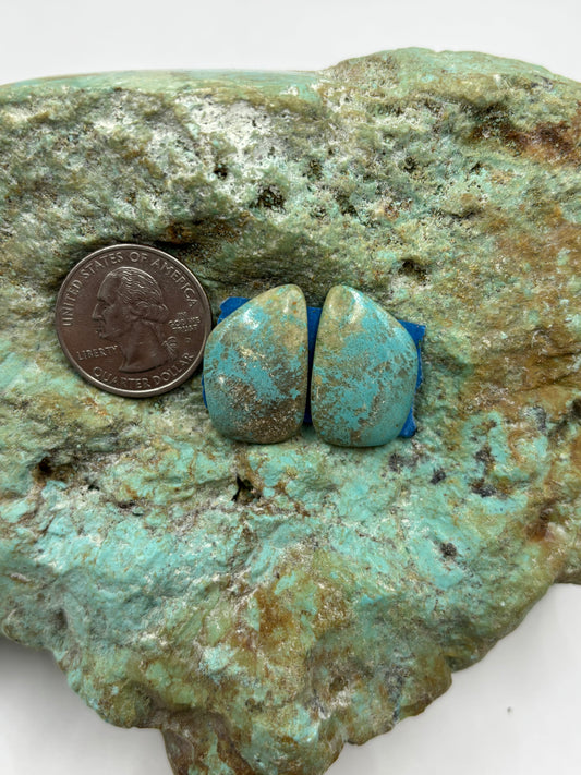 Matching Cabs (51)