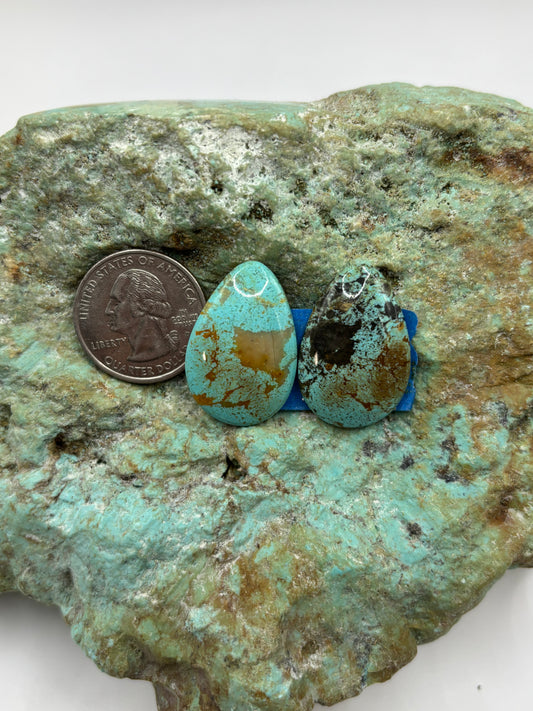 Matching Cabs (57)