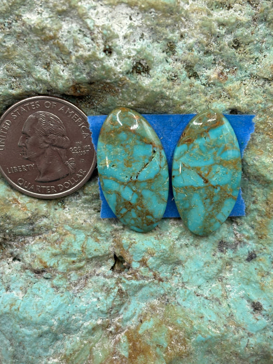 Matching Cabs (23)