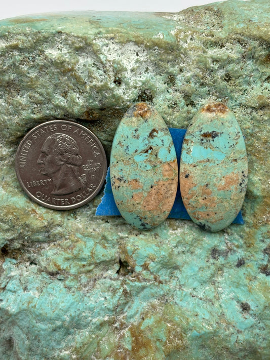 Matching Cabs (66)