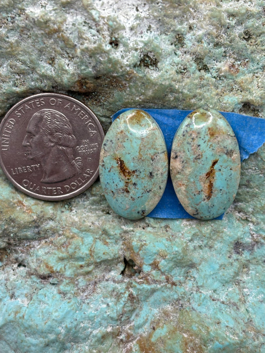 Matching Cabs (47)