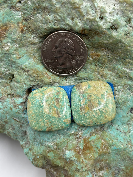Matching Cabs (28)