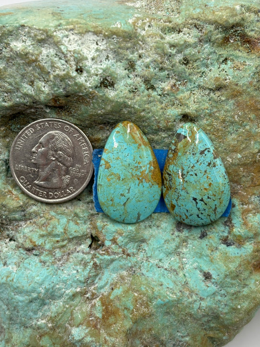 Matching Cabs (1)