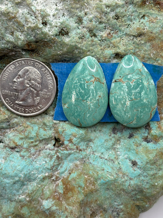 Matching Cabs (67)