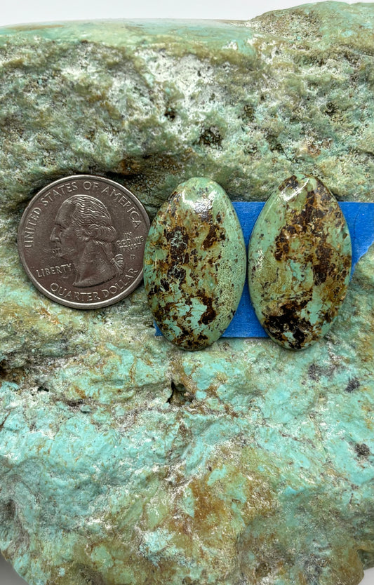 Matching Cabs (59)