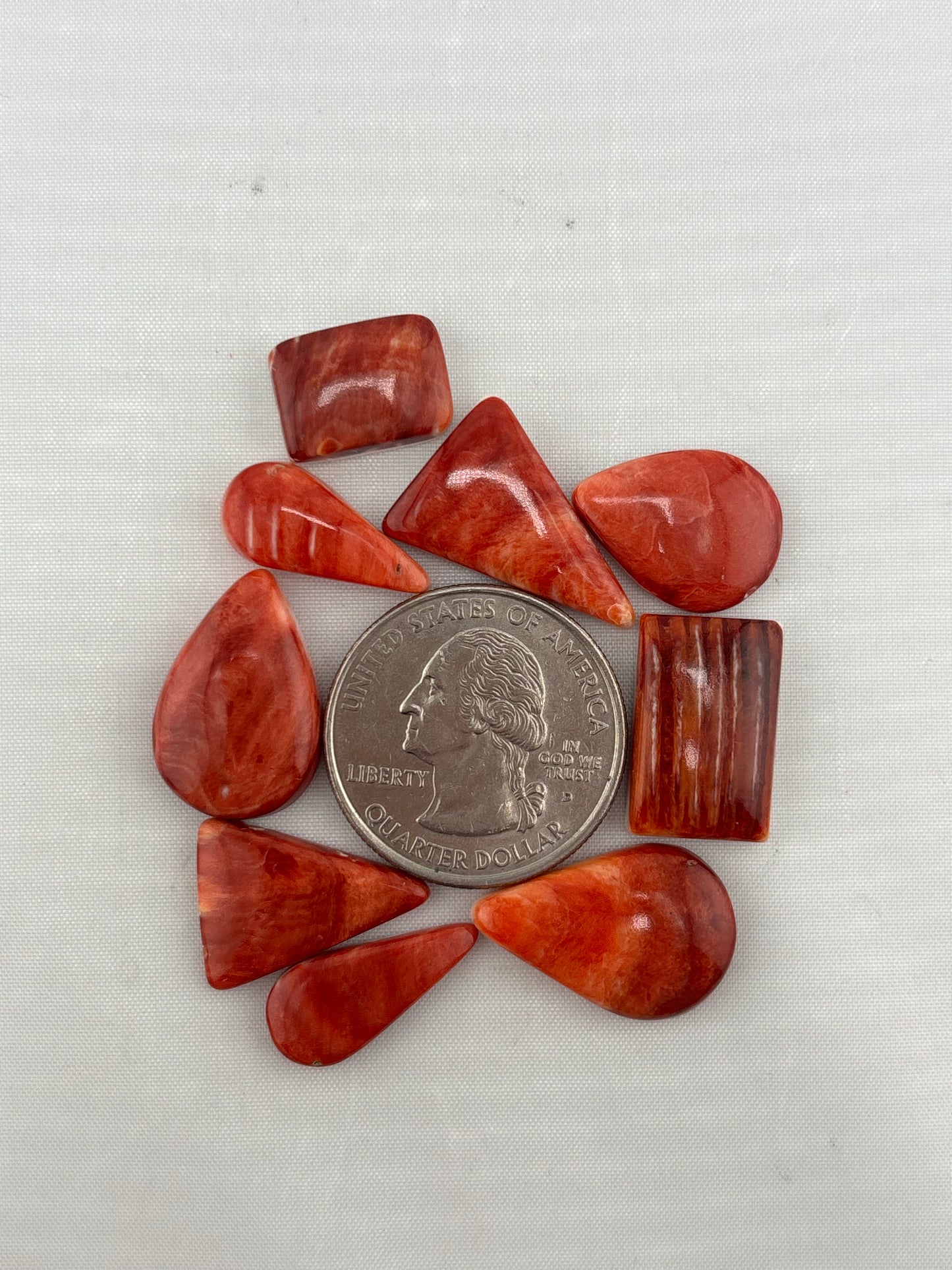 Red Spiny Bargain bag 5