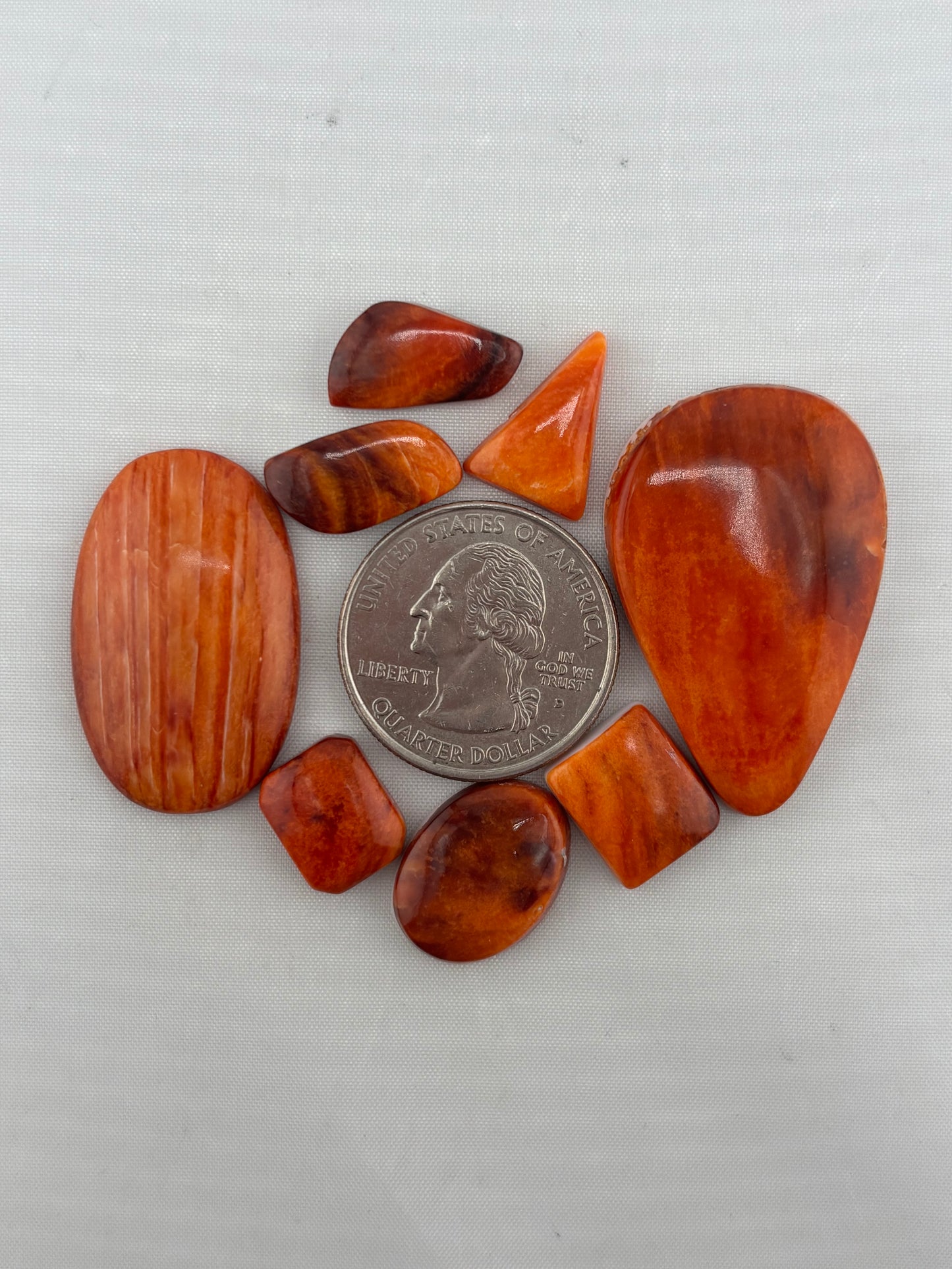 Orange Spiny Bargain Bag 1