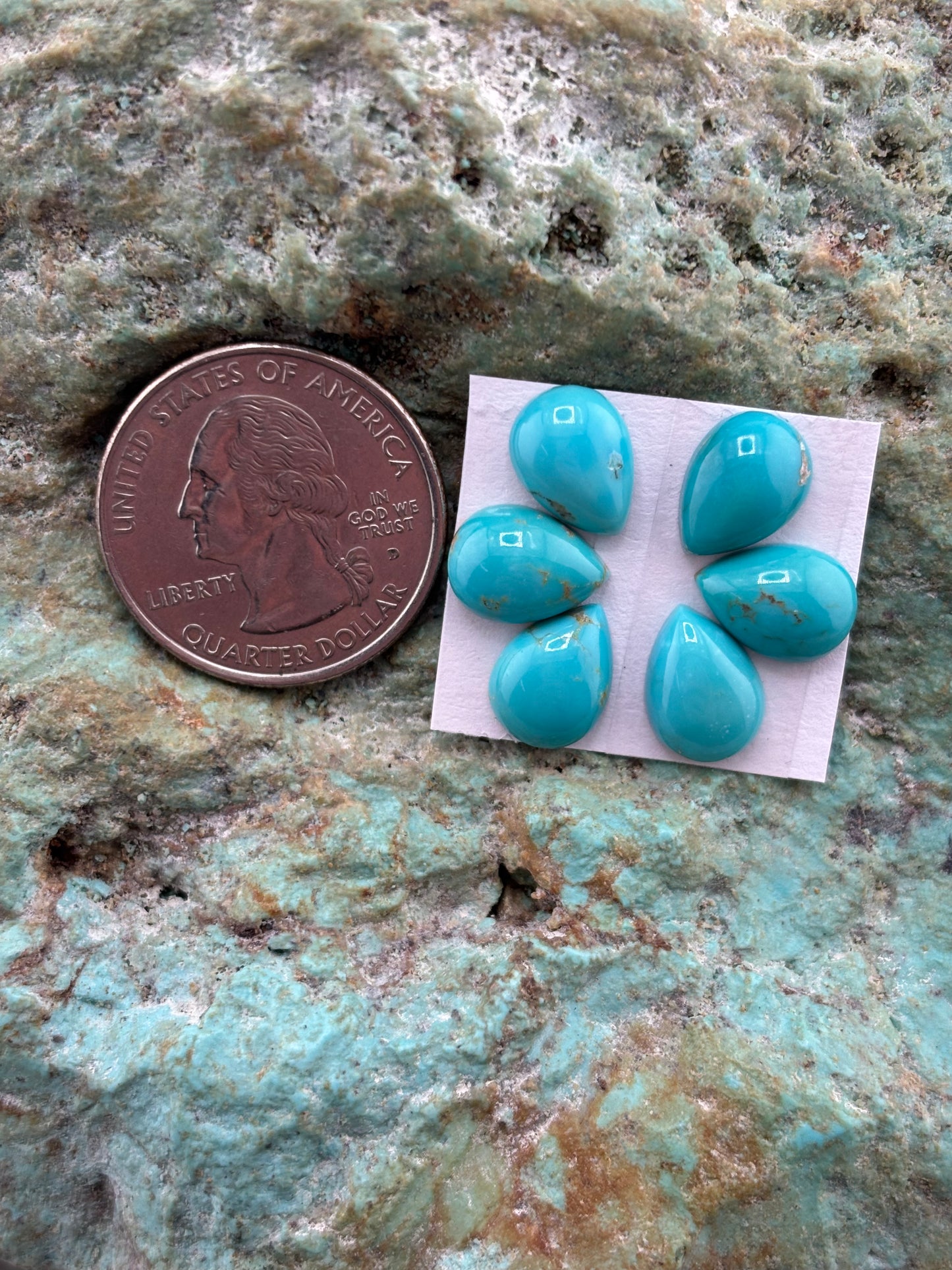 Petals 20 Calibrated Cab Set