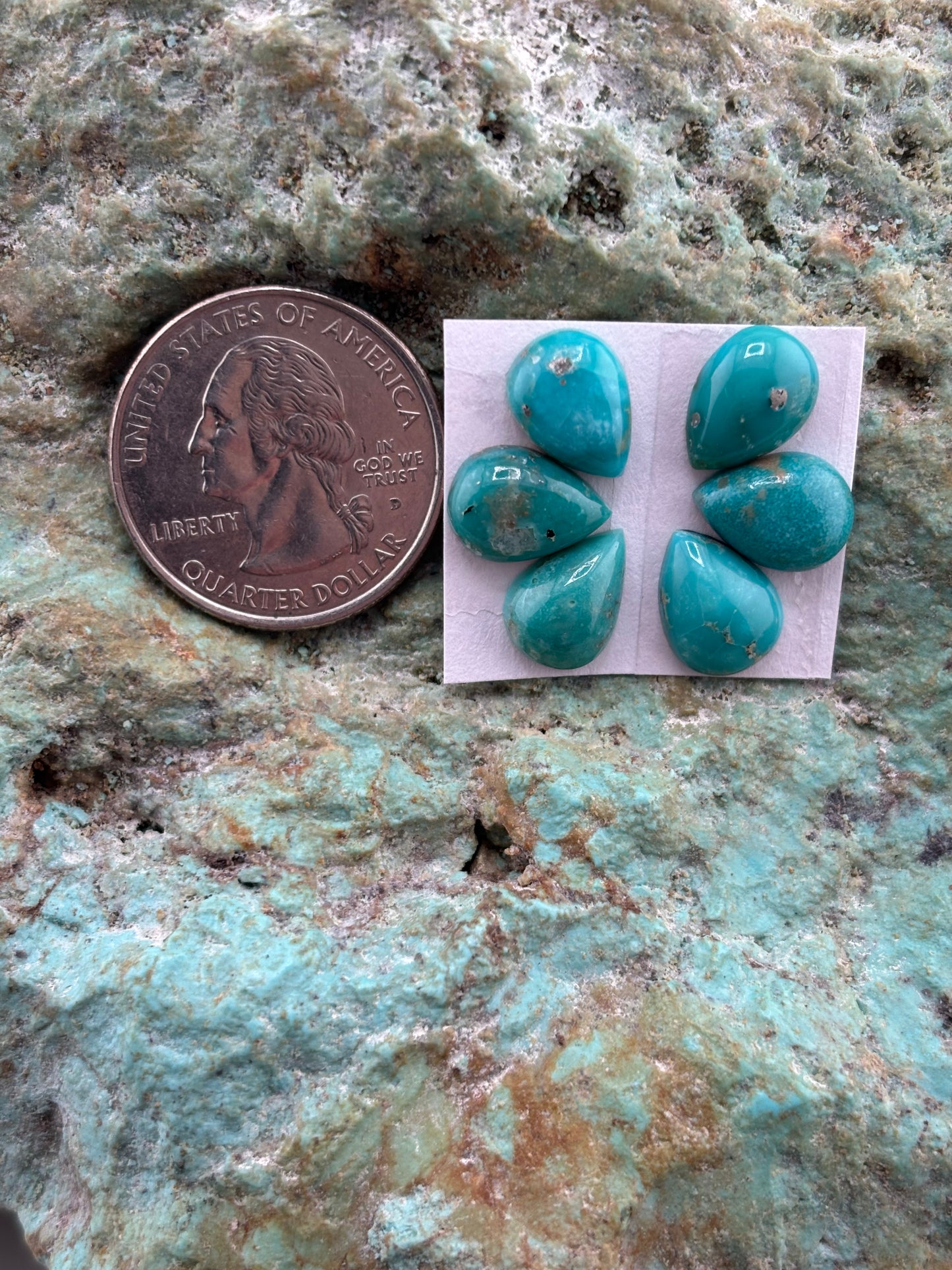 Petals 19 Calibrated Cab Set