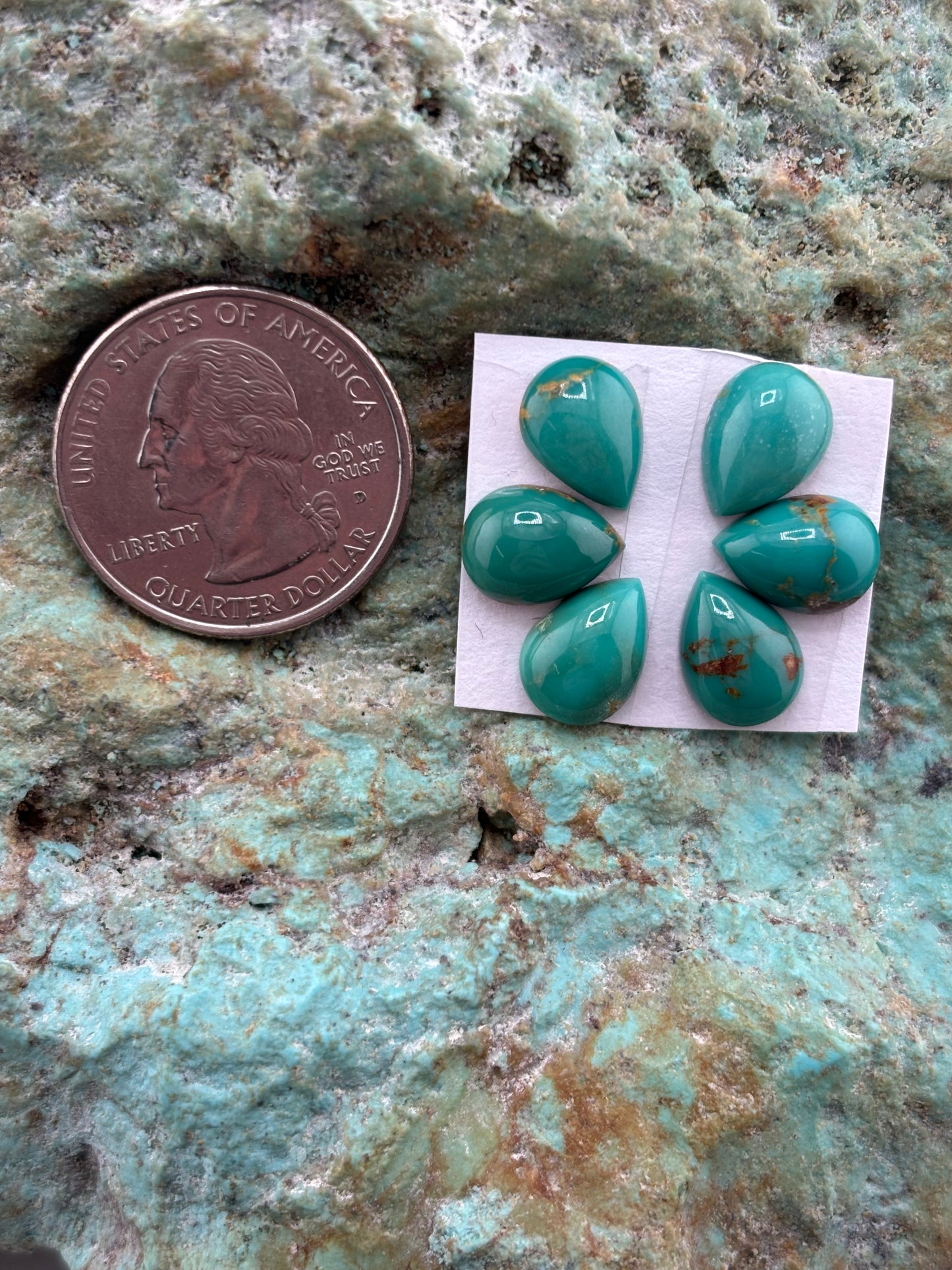 Petals 17 Calibrated Cab Set
