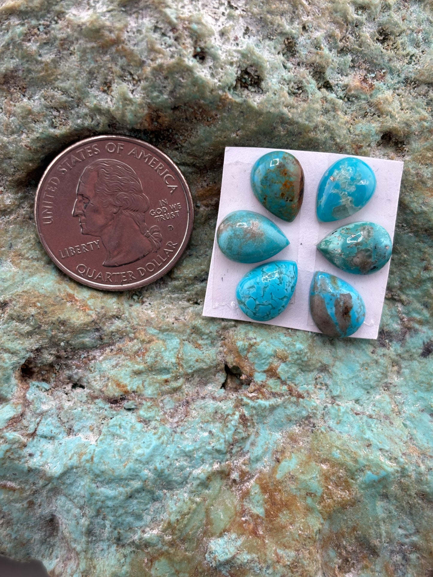 Petals 13 Calibrated Cab Set