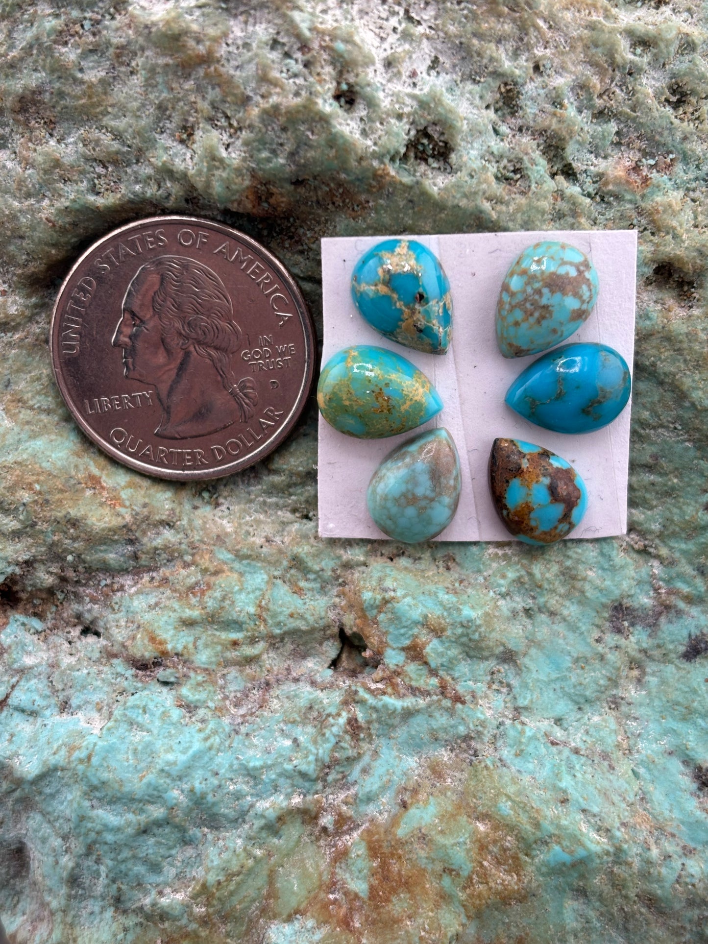 Petals 12 Calibrated Cab Set