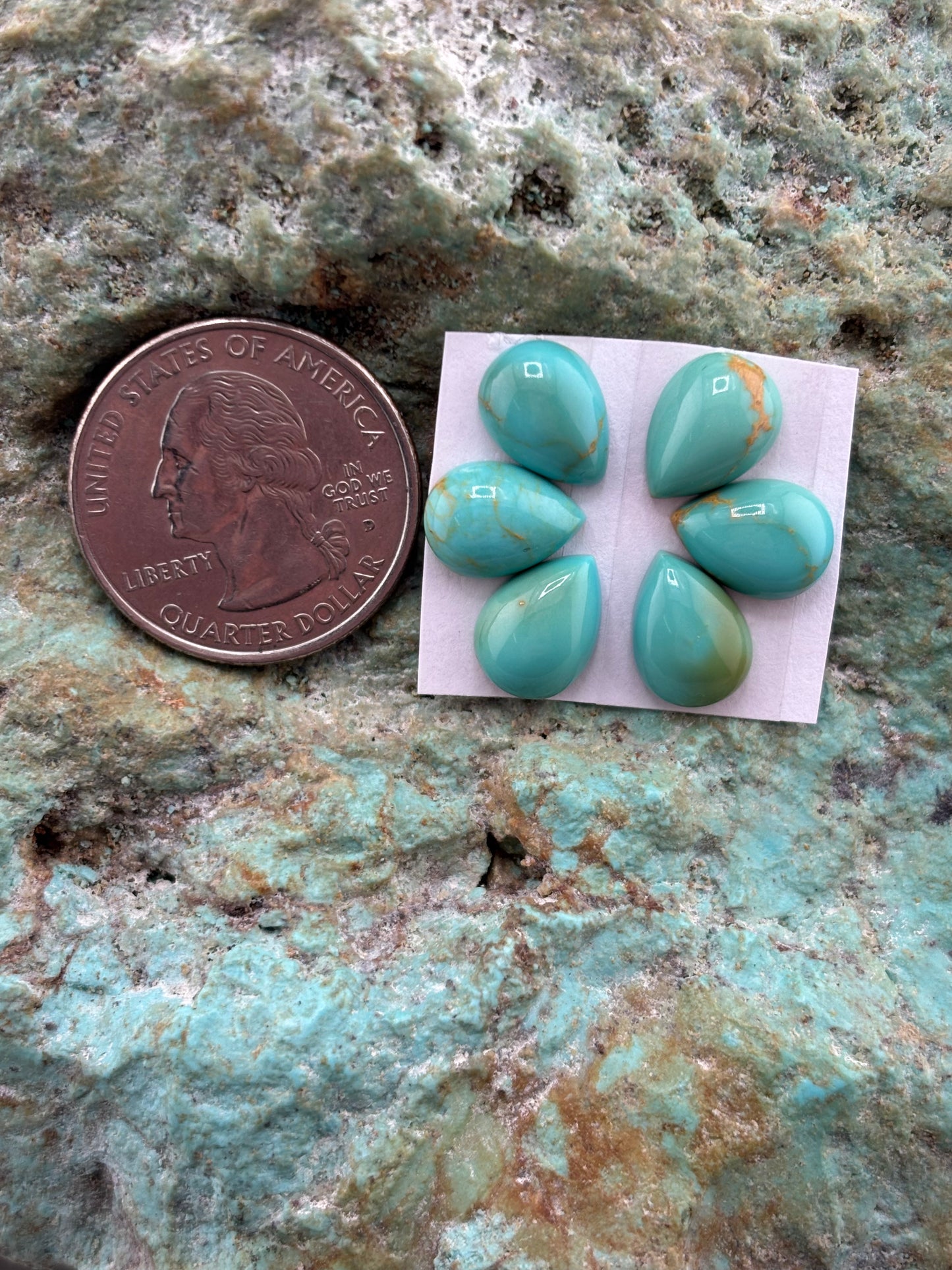 Petals 11 Calibrated Cab Set