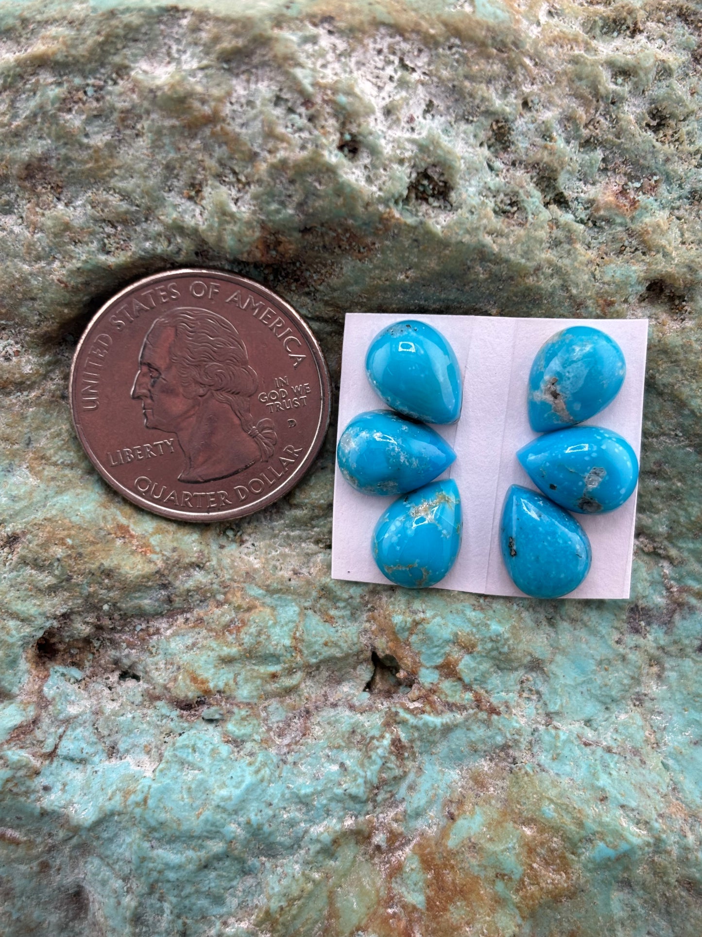 Petals 7 Calibrated Cab Set