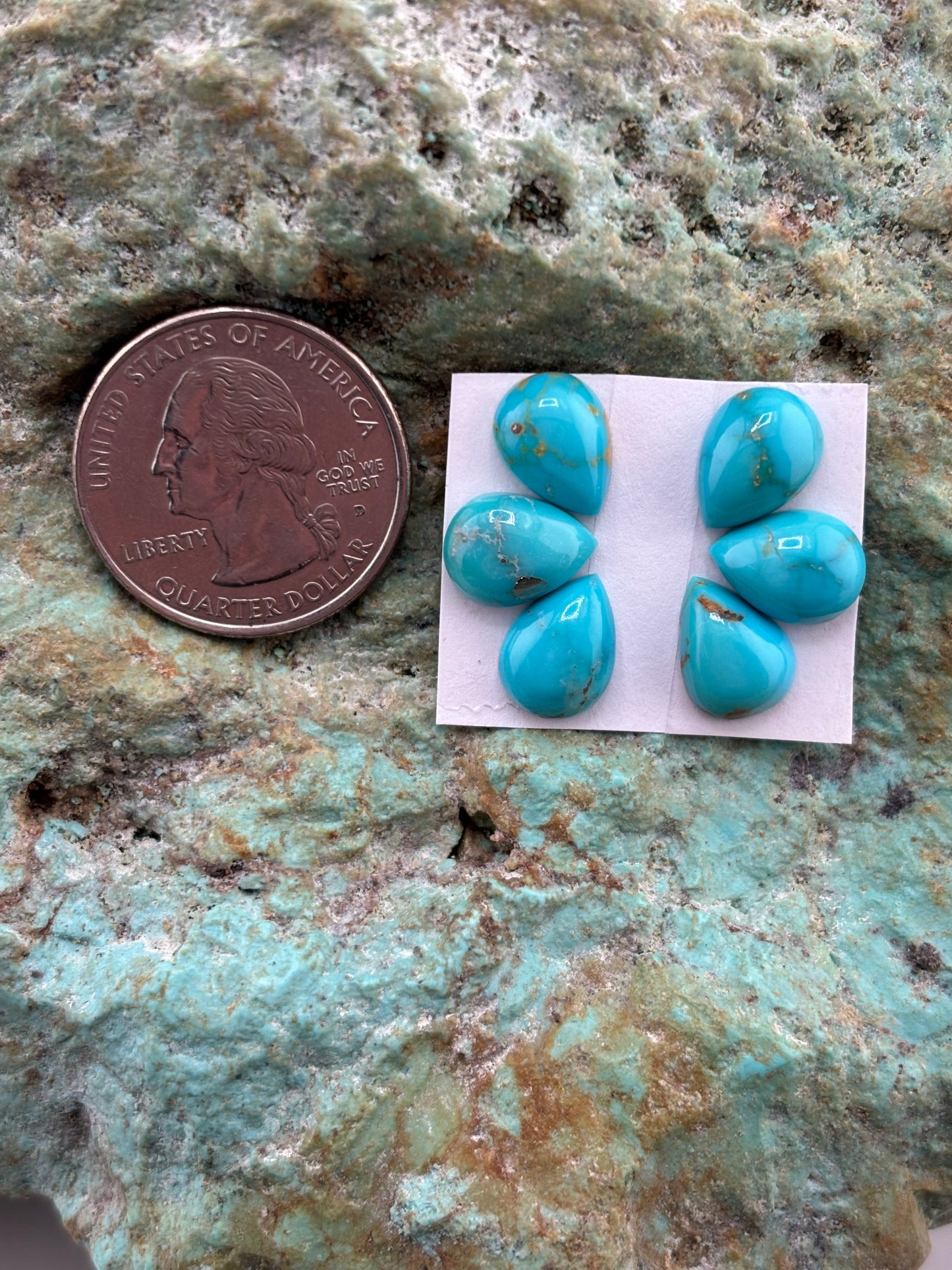 Petals 6 Calibrated Cab Set