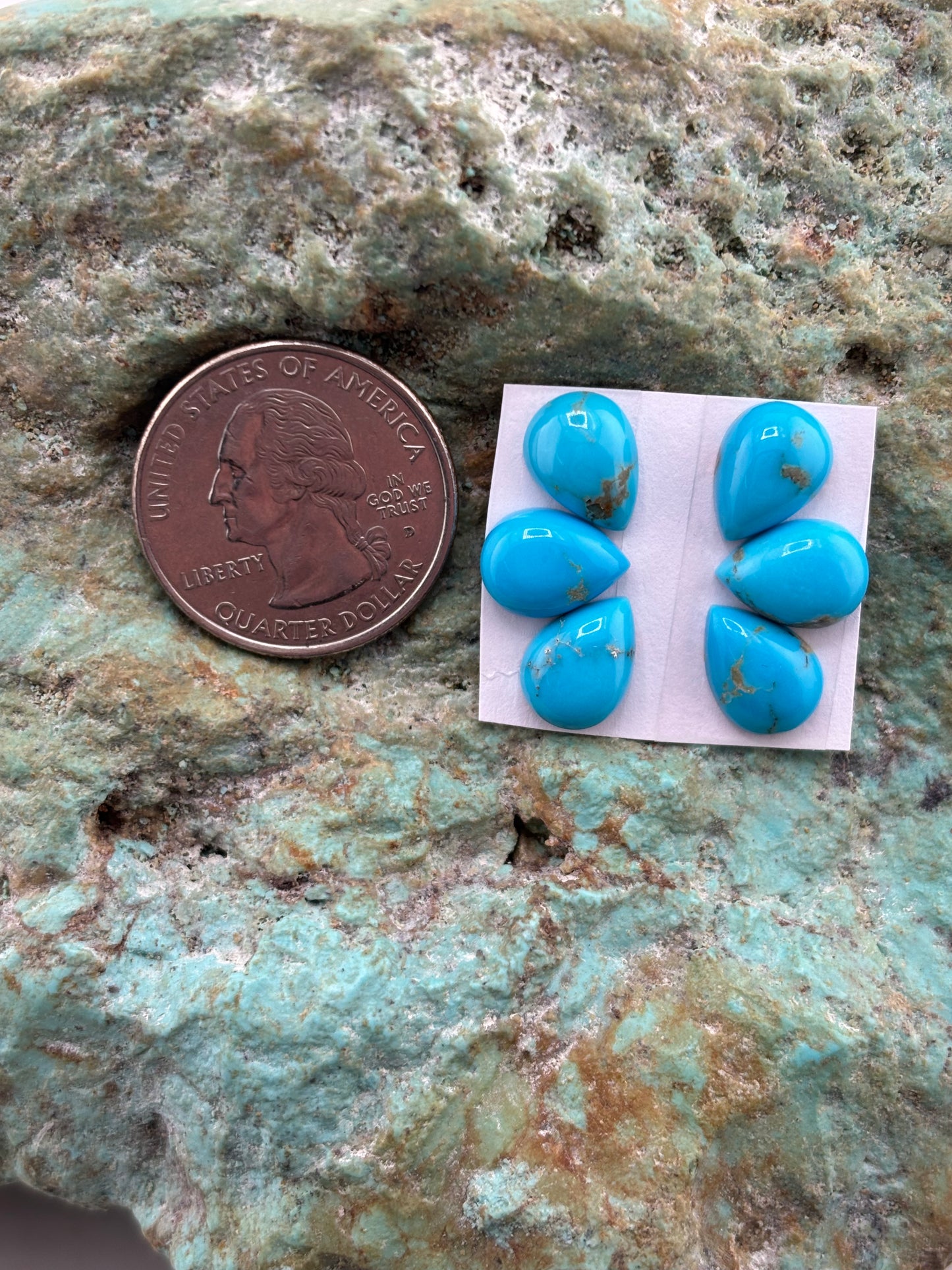 Petals 5 Calibrated Cab Set